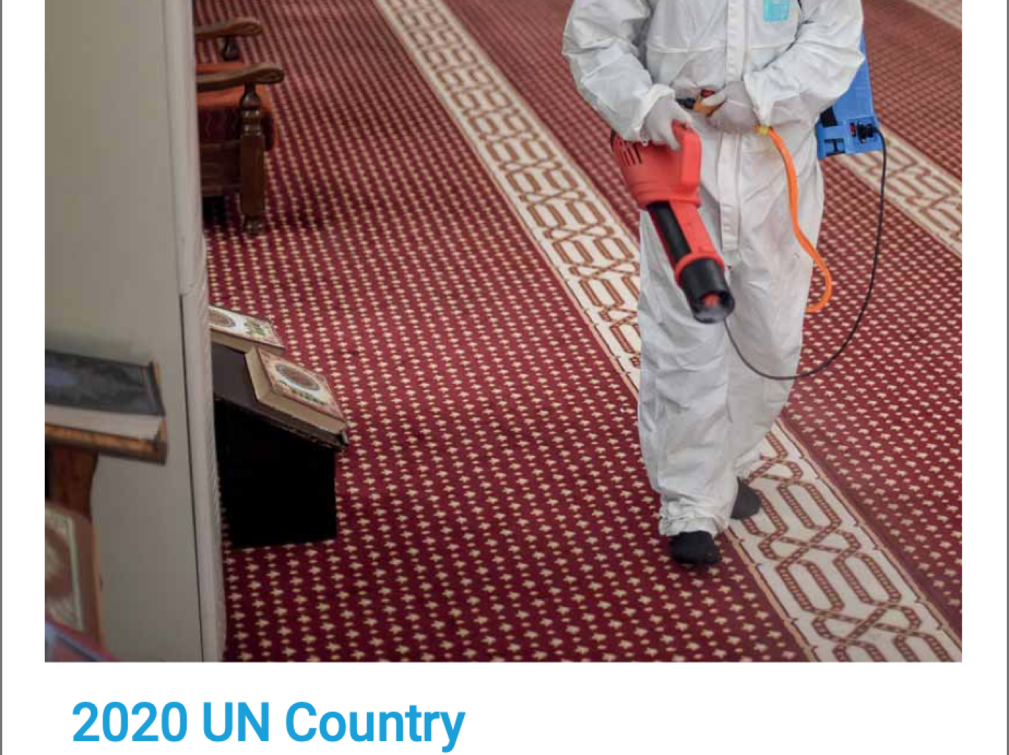 2020 UNCT Country Results Report 