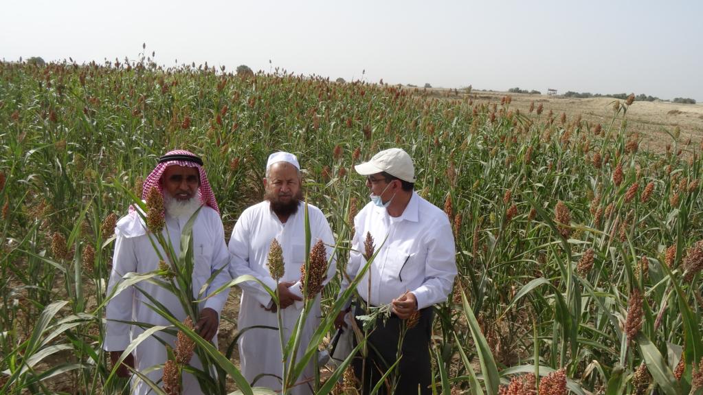 Photo of 3 men in the field