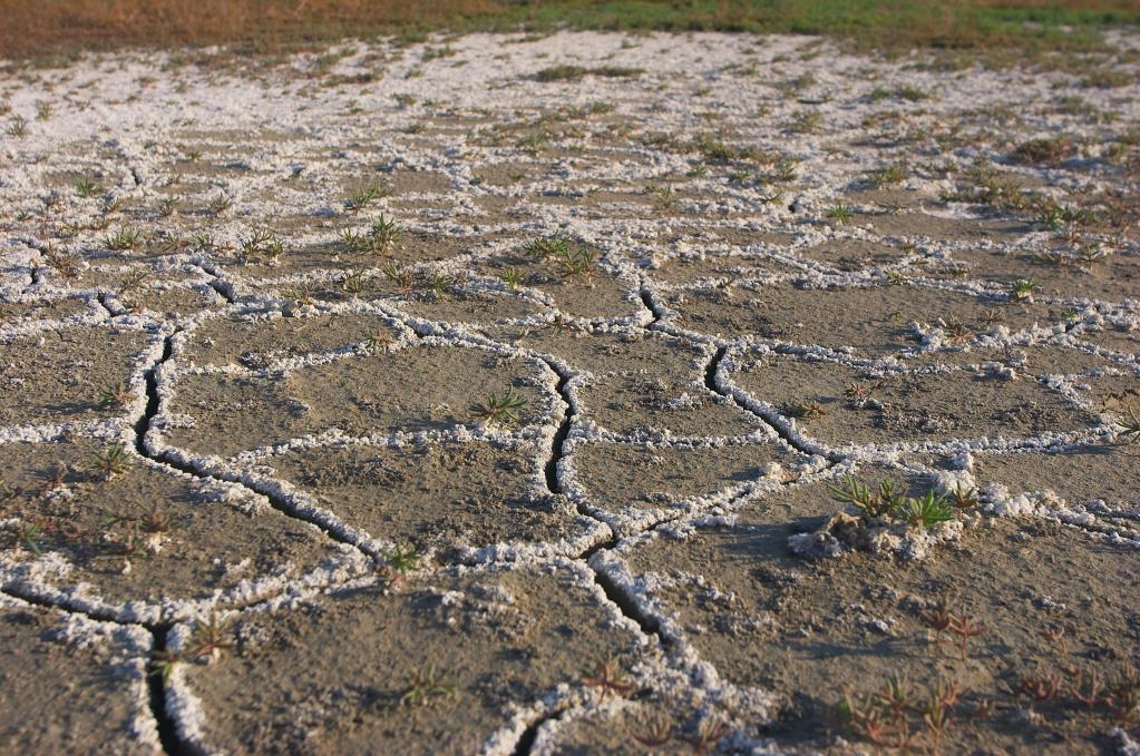 Salt deposition in cracks due to the evaporation process