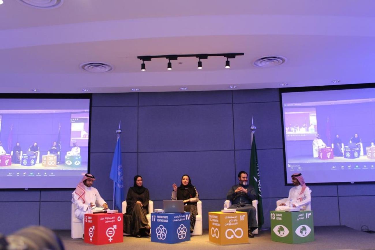 UNDP Accelerator Lab Saudi