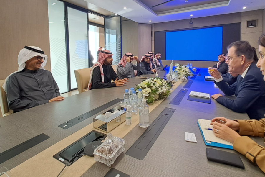 UNIDO delegation meeting with Saudi Officials