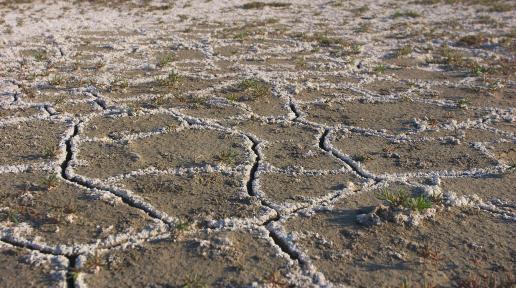 Salt deposition in cracks due to the evaporation process