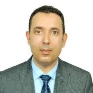 ICAO Project Coordinator