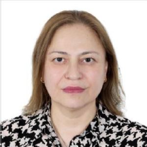 Shahlaa Ali Saeed - OHCHR Officer in Charge